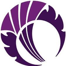 Team 1 Logo