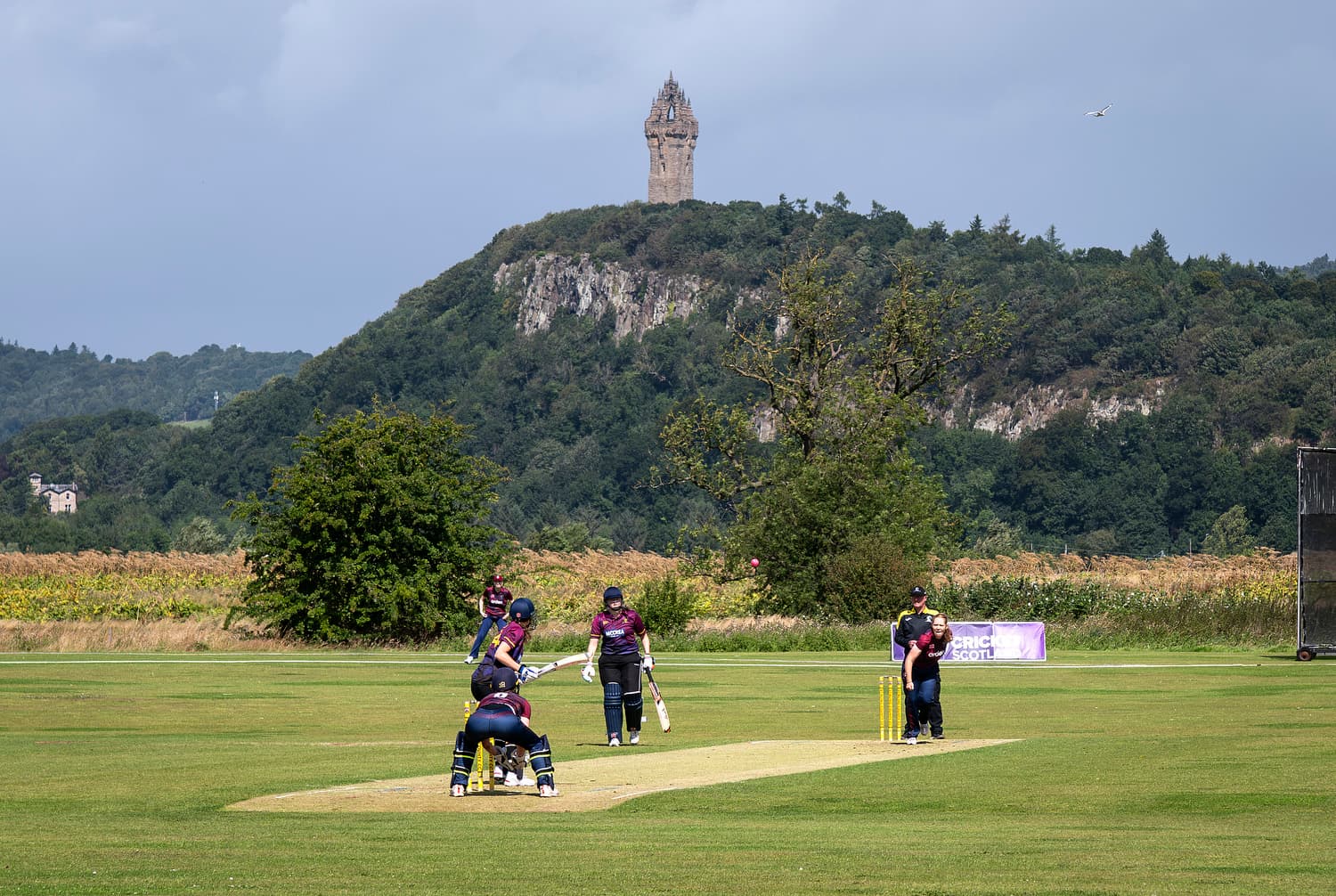 CLUB DEVELOPMENT TOOL RELAUNCHED