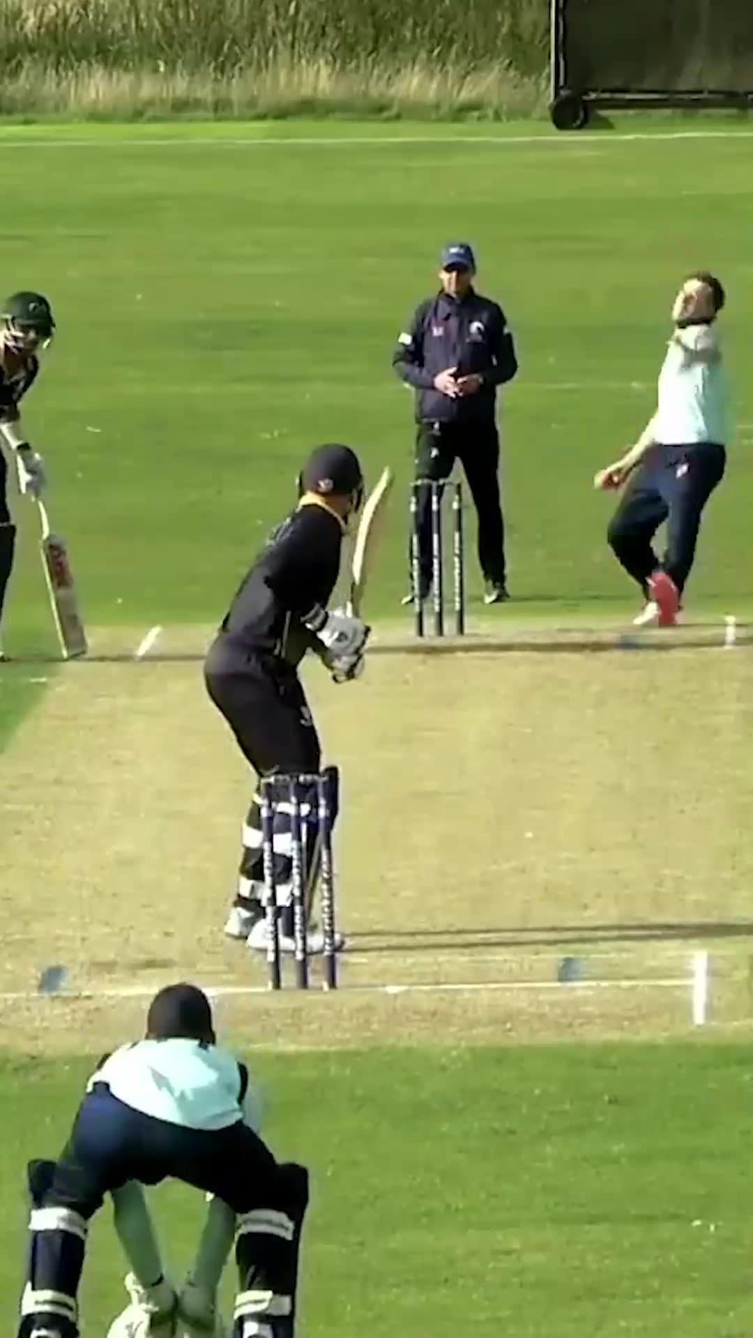 PERFECT YORKER FROM JASPER DAVIDSON | SHORTS