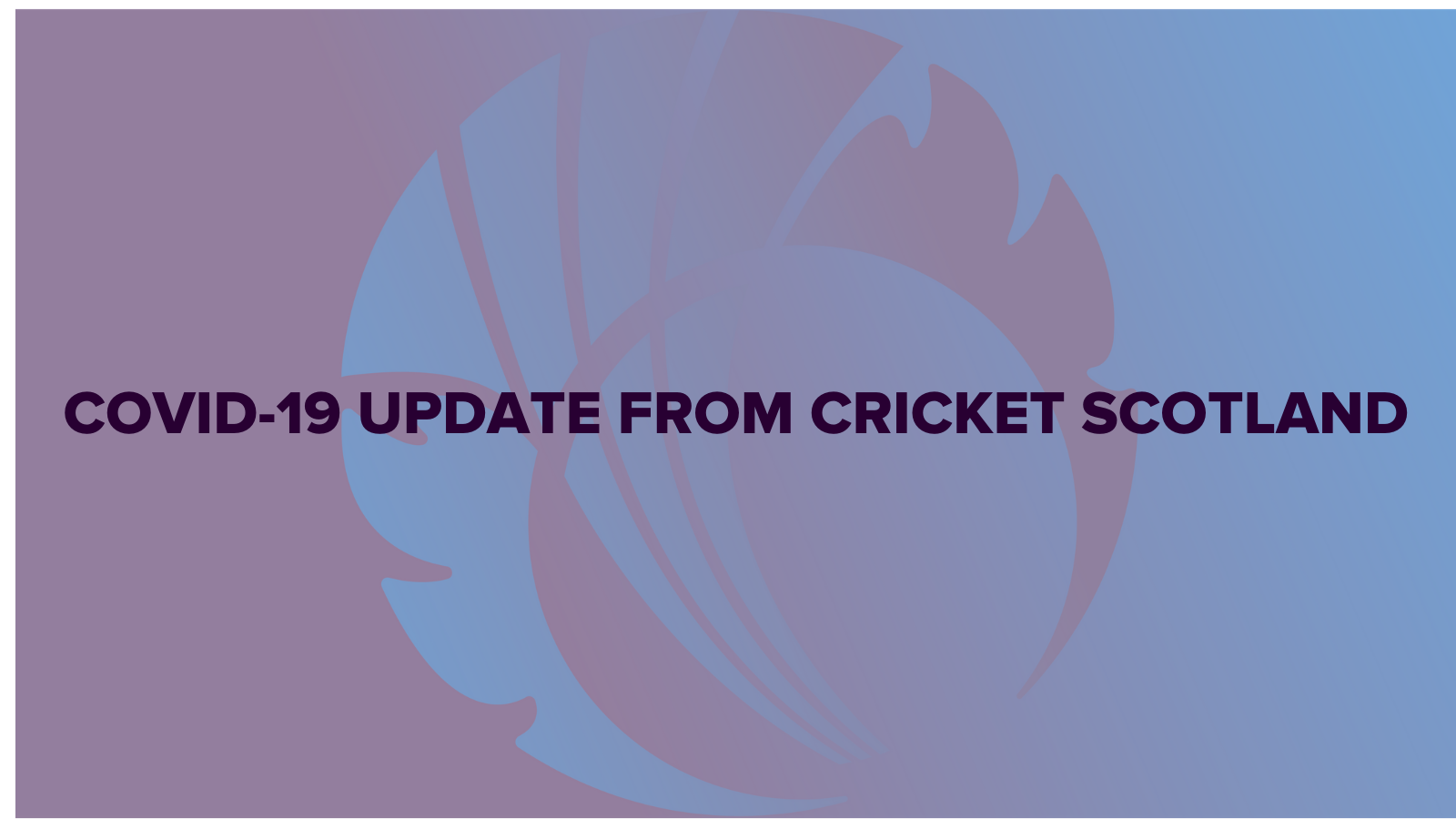 Return to Cricket Update