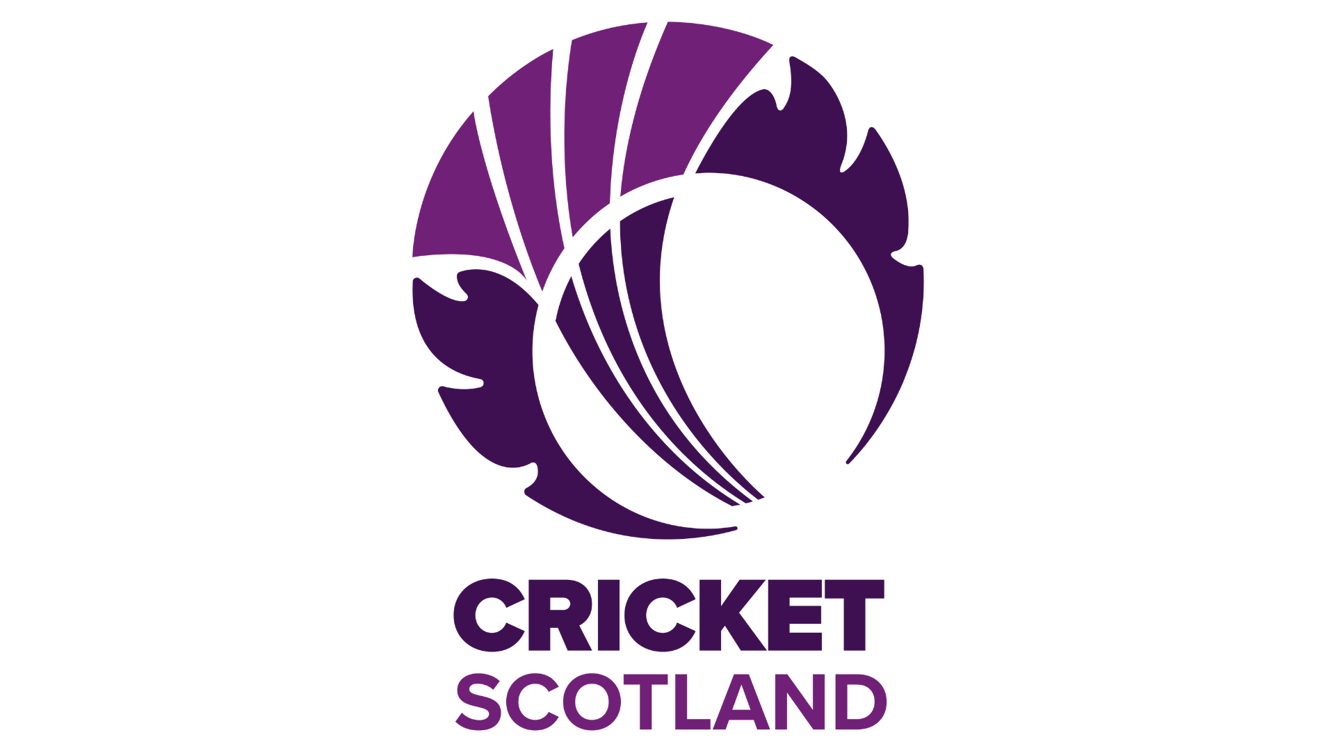 CRICKET SCOTLAND APPOINTS CHAIR AND INDEPENDENT NON-EXECUTIVE DIRECTORS